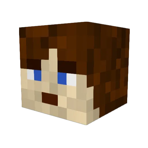 MinecraftFan367 Minecraft avatar head, 3D render
