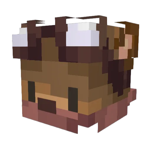 MinecraftGerbil Minecraft avatar head, 3D render