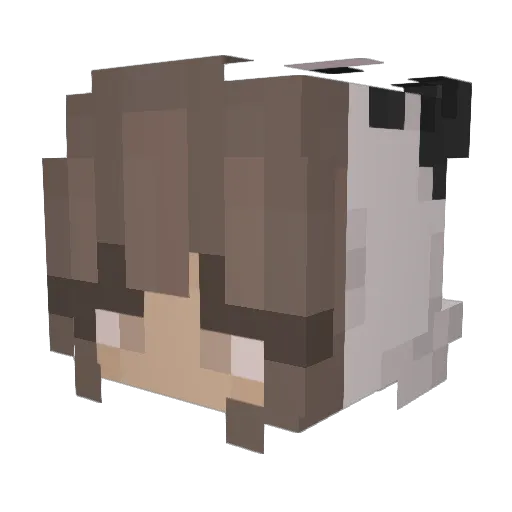 MinecraftIsHard1 Minecraft avatar head, 3D render