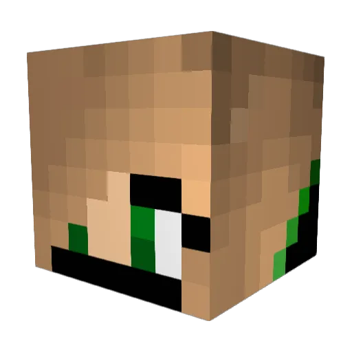 MinecraftNerd1 Minecraft avatar head, 3D render