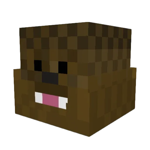 MinecraftNoahS Minecraft avatar head, 3D render