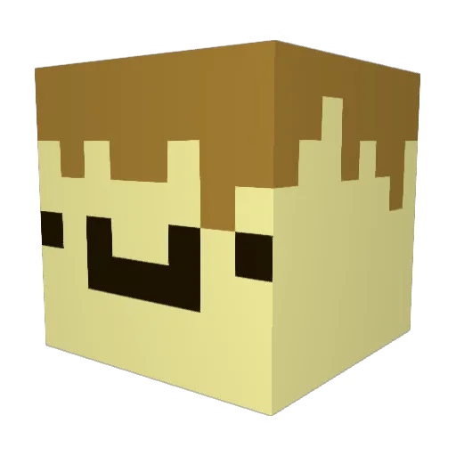 MinecraftNub498 Minecraft avatar head, 3D render