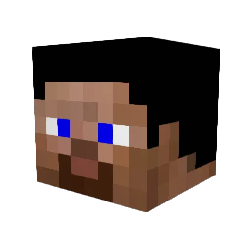 MinecraftPro7654 Minecraft avatar head, 3D render