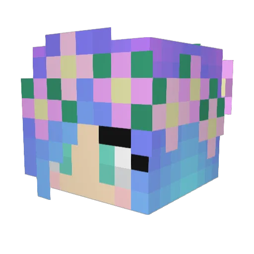 MinecraftRyan14 Minecraft avatar head, 3D render