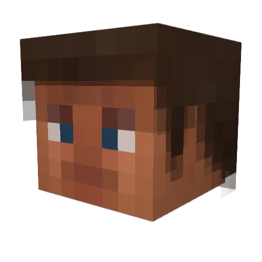 MinecraftSWAG12 Minecraft avatar head, 3D render