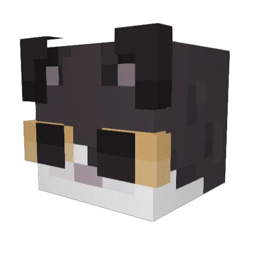 MinecraftShaders Minecraft avatar head, 3D render