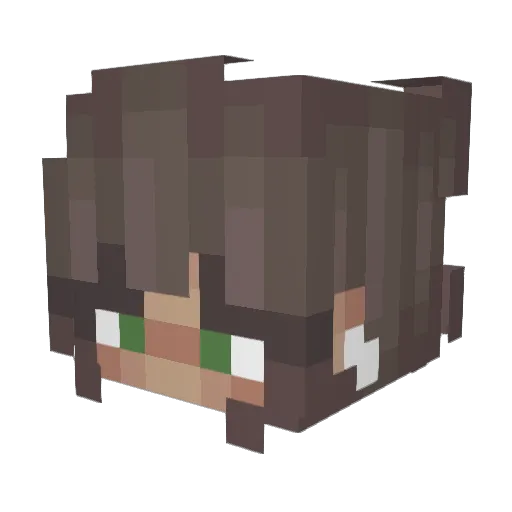 MinecraftStar652 Minecraft avatar head, 3D render