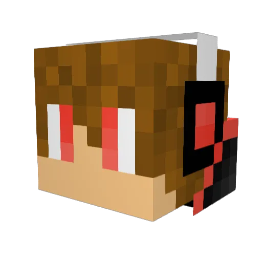 MinecraftVideo3 Minecraft avatar head, 3D render