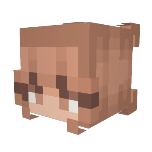MinecraftVr Minecraft avatar head, 3D render