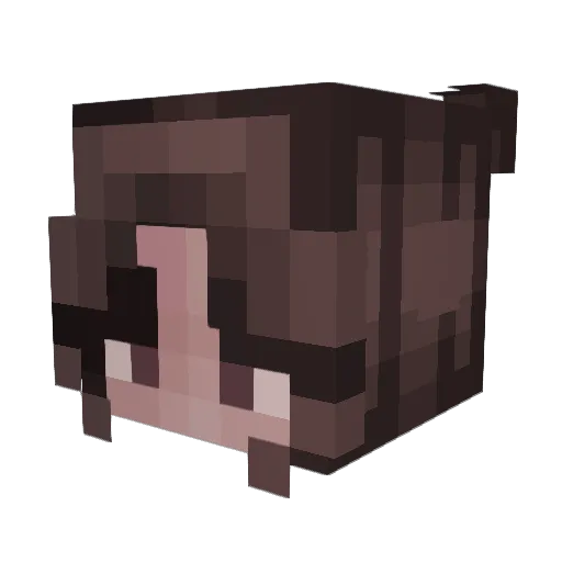 Minecraft__Girl Minecraft avatar head, 3D render