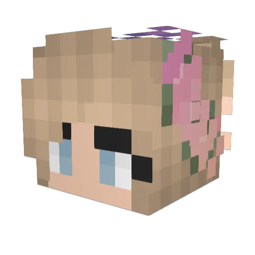 Minecraft___Ann Minecraft avatar head, 3D render