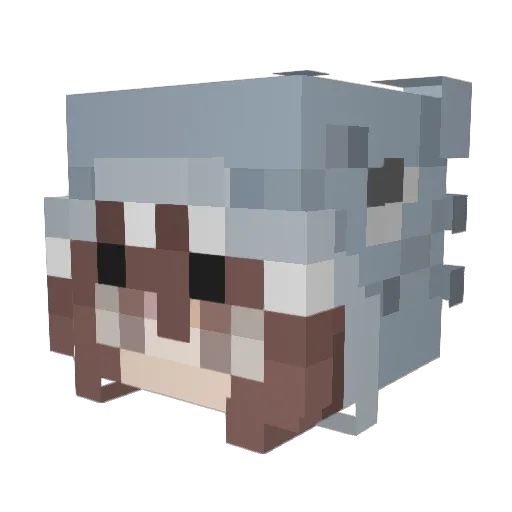Minecraft__ace Minecraft avatar head, 3D render