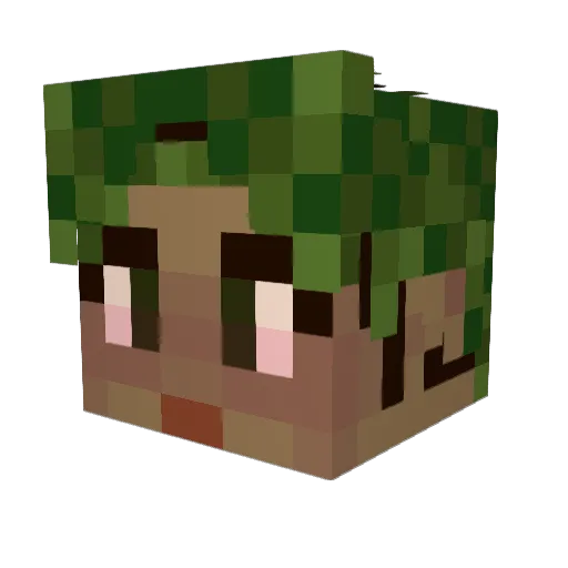 Minecraftanishaa Minecraft avatar head, 3D render