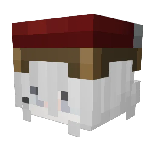 Minecrafter165 Minecraft avatar head, 3D render