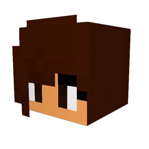Minecrafter16 Minecraft avatar head, 3D render