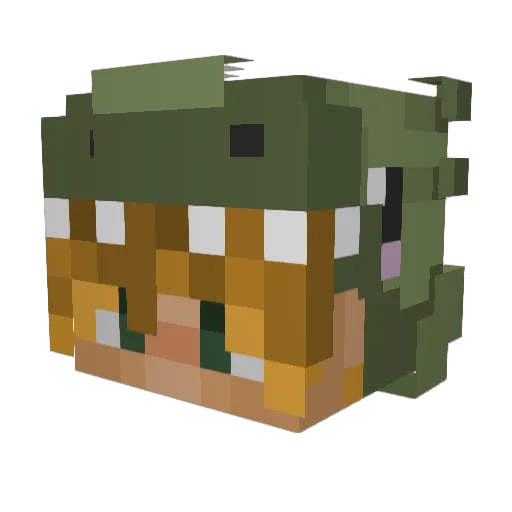 Minecrafter2689 Minecraft avatar head, 3D render