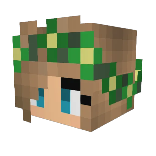 Minecrafter618 Minecraft avatar head, 3D render