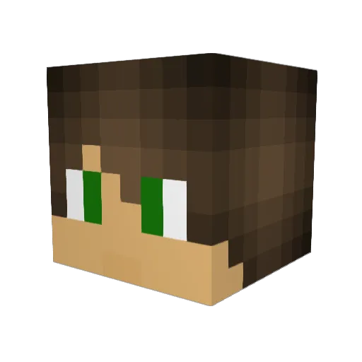 Minecrafter9645 Minecraft avatar head, 3D render