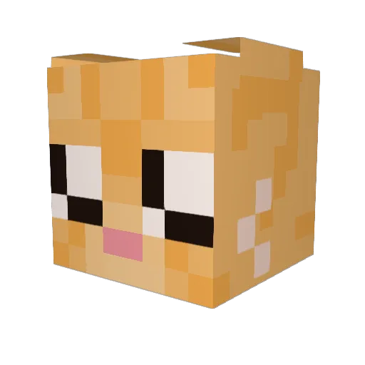 Minecrafterrr_ Minecraft avatar head, 3D render