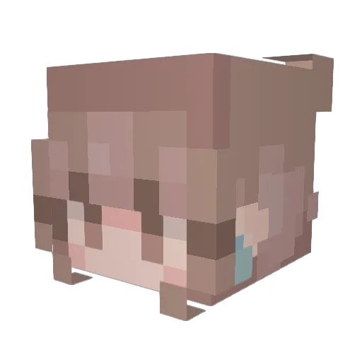 Minecraftfan29 Minecraft avatar head, 3D render