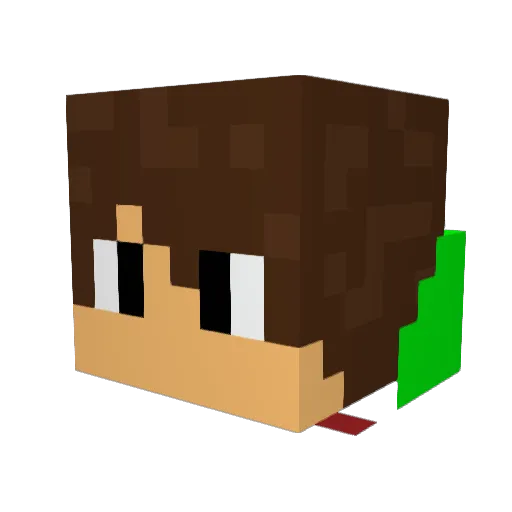 Minecraftgajer Minecraft avatar head, 3D render
