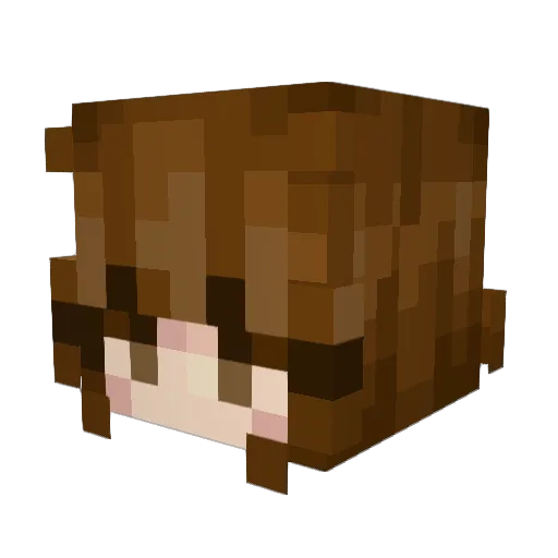 MinecraftingMom3 Minecraft avatar head, 3D render