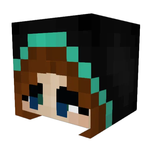 Minecraftmama63 Minecraft avatar head, 3D render