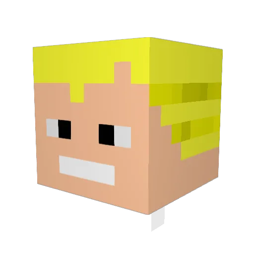 Minecraftness Minecraft avatar head, 3D render