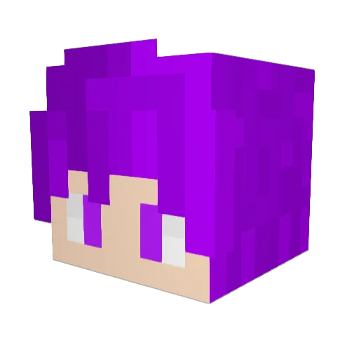 Minecrotyp Minecraft avatar head, 3D render