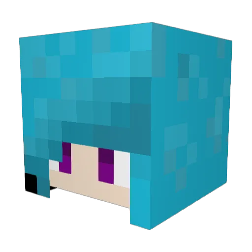 MinecwaftGamer69 Minecraft avatar head, 3D render