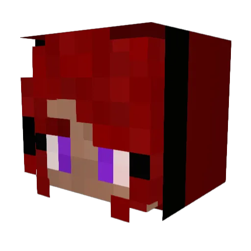 Mineduck94 Minecraft avatar head, 3D render