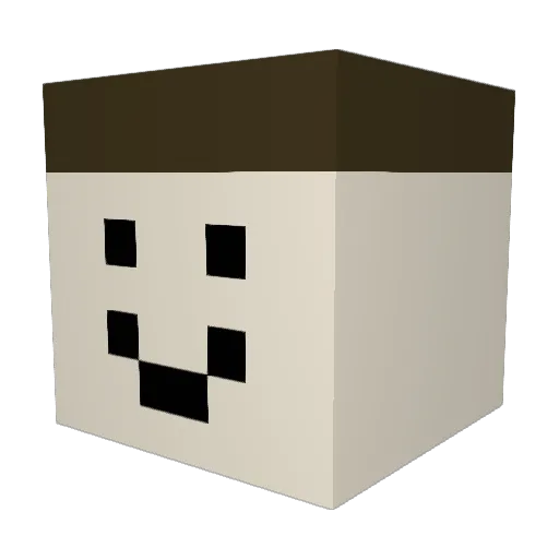 Minefreak0167 Minecraft avatar head, 3D render