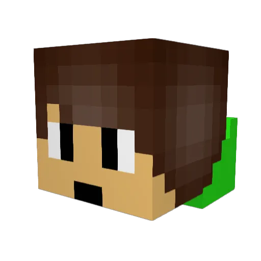 MinekKubsonPL Minecraft avatar head, 3D render