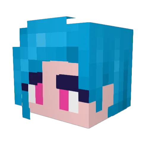 MinekLee Minecraft avatar head, 3D render