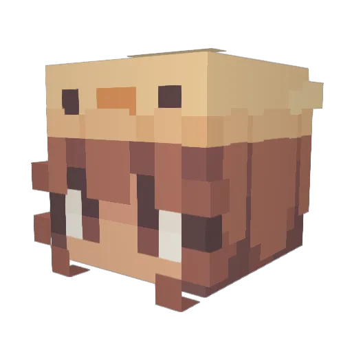 Mineko123 Minecraft avatar head, 3D render