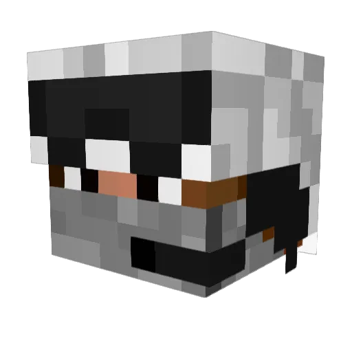Minemaster1245 Minecraft avatar head, 3D render