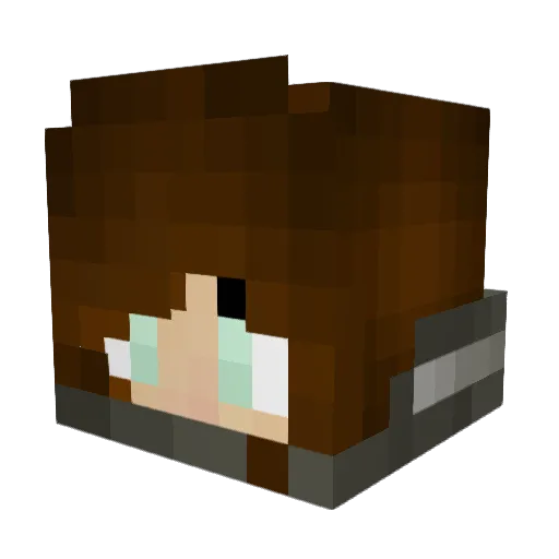 Minemaster_2005 Minecraft avatar head, 3D render