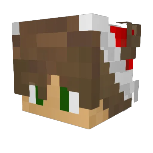Minenovec Minecraft avatar head, 3D render