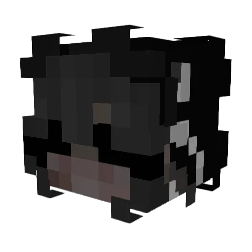 Minepop5864 Minecraft avatar head, 3D render