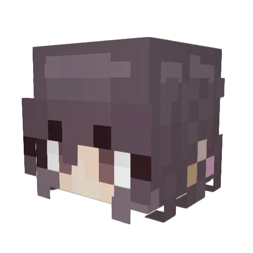 Minepro306 Minecraft avatar head, 3D render