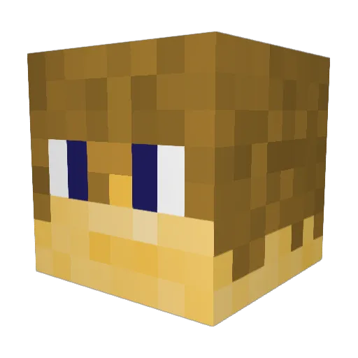 Miner2615 Minecraft avatar head, 3D render