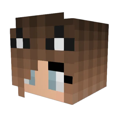 MinerGirl31 Minecraft avatar head, 3D render