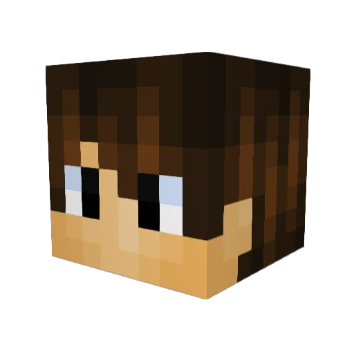 MinerInTheHouse Minecraft avatar head, 3D render