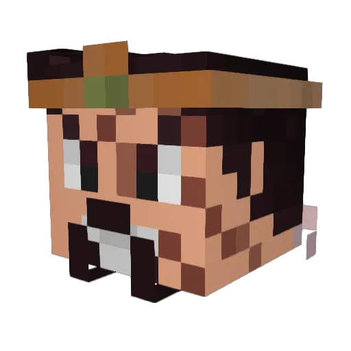 MinerOfDOOM69 Minecraft avatar head, 3D render