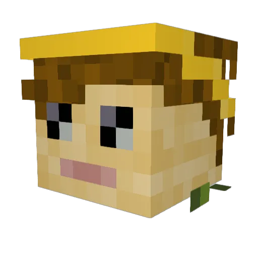 Miner_Jord Minecraft avatar head, 3D render