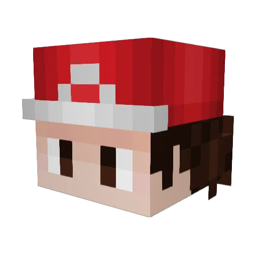 Miner_Nuller Minecraft avatar head, 3D render