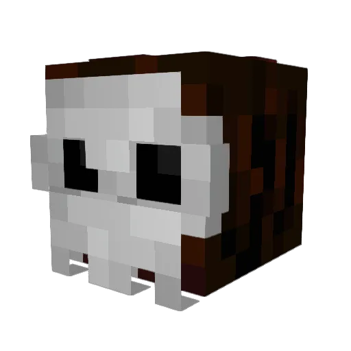 Minerafter99 Minecraft avatar head, 3D render