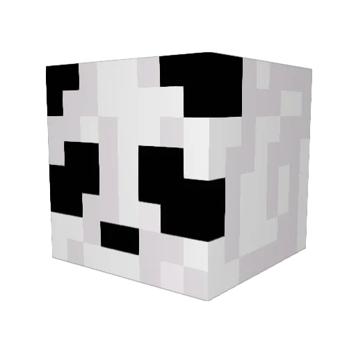 Minerdude122 Minecraft avatar head, 3D render