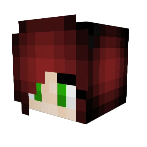Minervas_Owl Minecraft avatar head, 3D render
