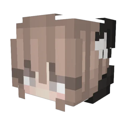 Minewiki00 Minecraft avatar head, 3D render